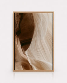 Brown Beige Organic Abstract