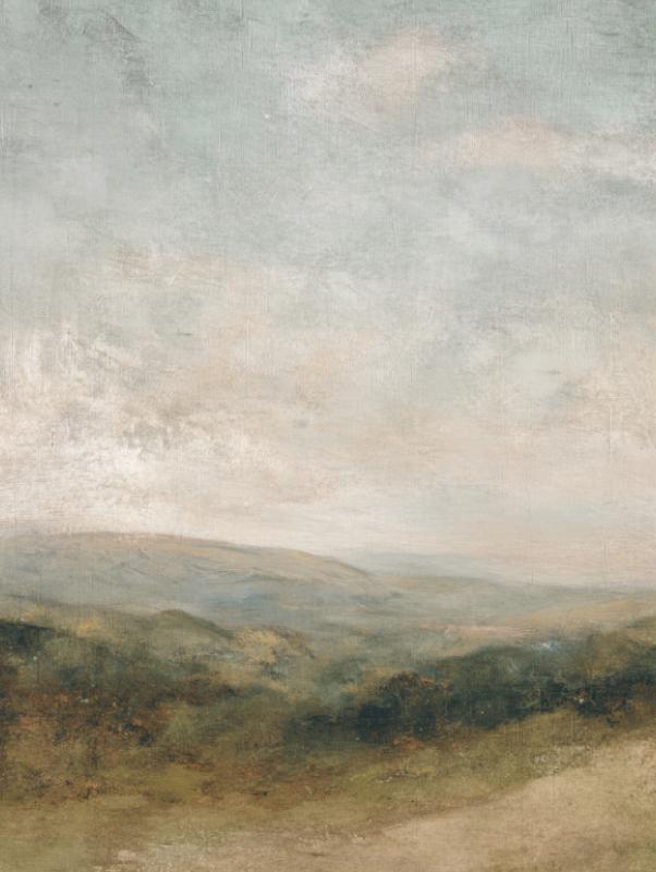 Moody Neutral Mountain Landscape
