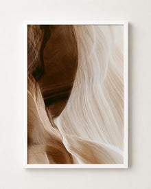 Brown Beige Organic Abstract